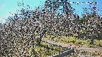 area1-20250331130204.jpg