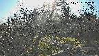 area1-20250331155131.jpg