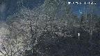 area1-20250331191111.jpg