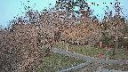 area1-20250401051025.jpg
