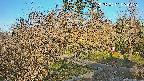 area1-20250401064026.jpg