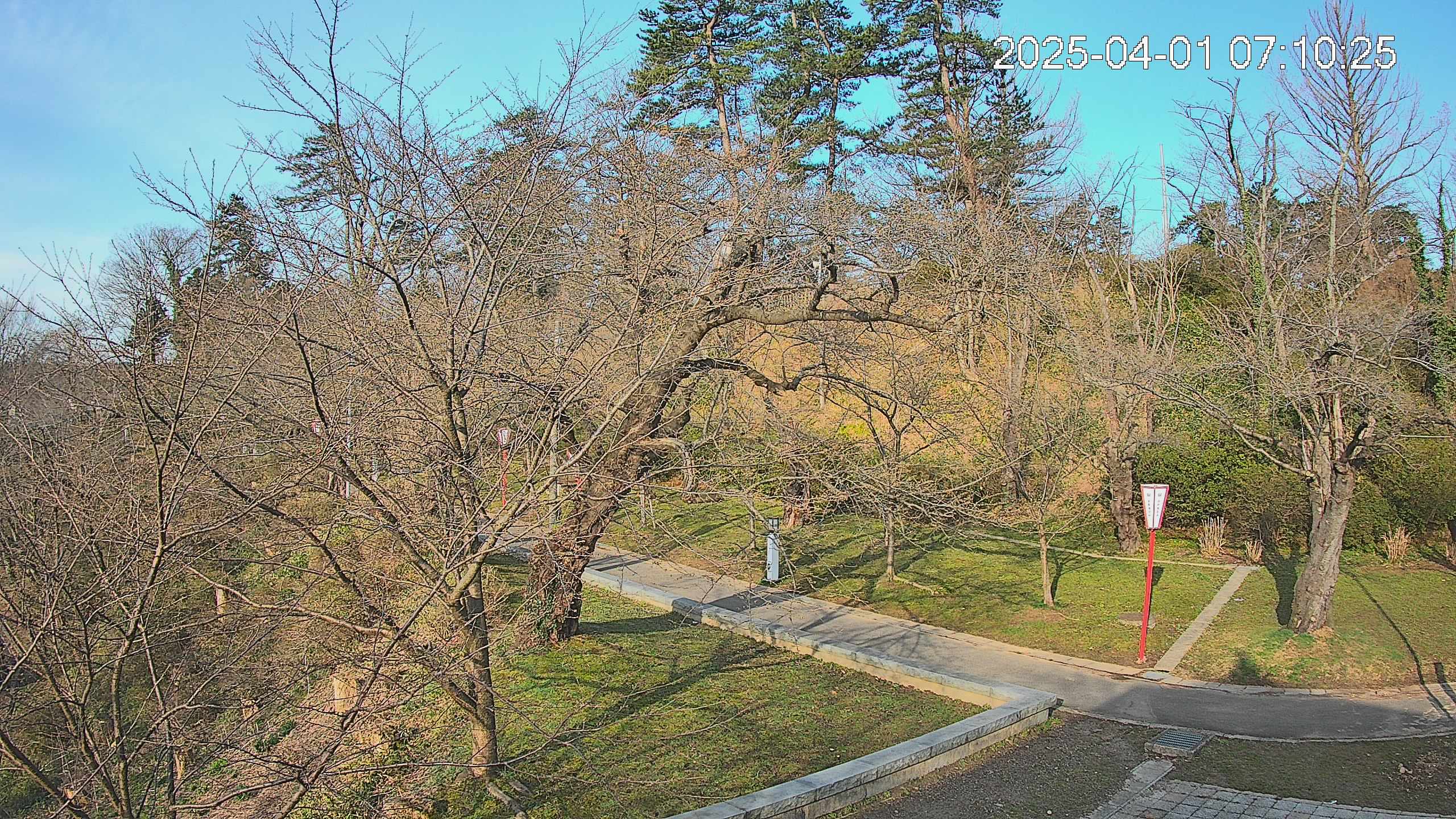 area1-20250401071026.jpg