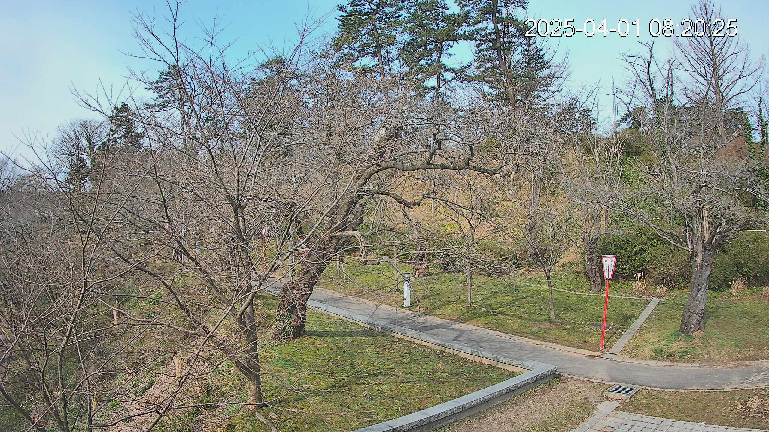 area1-20250401082026.jpg