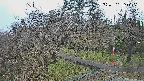 area1-20250401160026.jpg