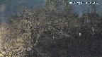 area1-20250401195026.jpg