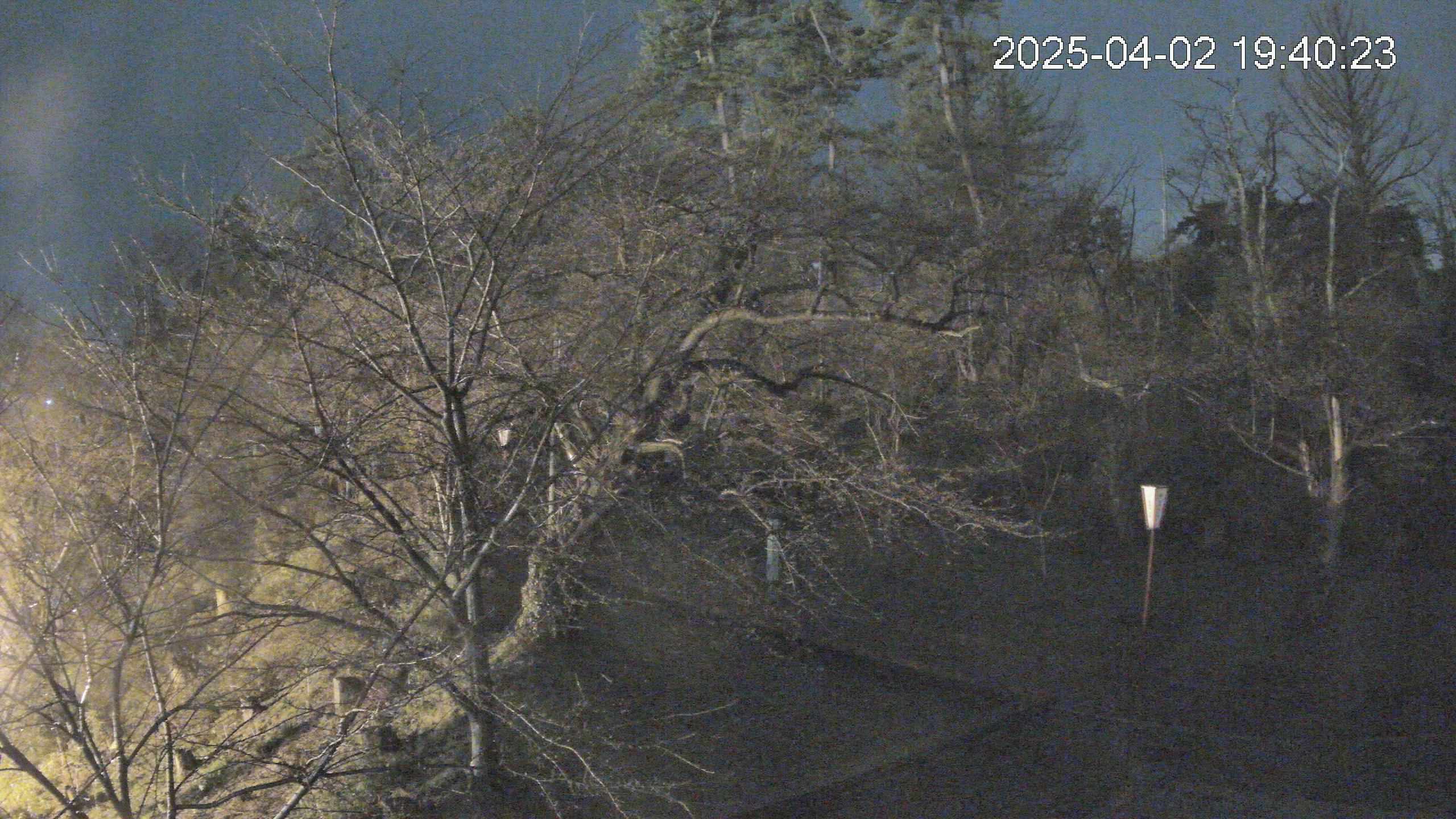 area1-20250402194023.jpg
