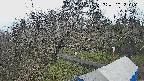 area1-20250403121027.jpg
