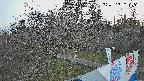 area1-20250405181027.jpg