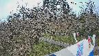 area1-20250406060031.jpg