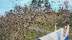 area1-20250406073027.jpg