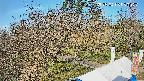 area1-20250406080028.jpg
