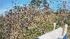 area1-20250406081027.jpg