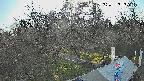 area1-20250412155026.jpg