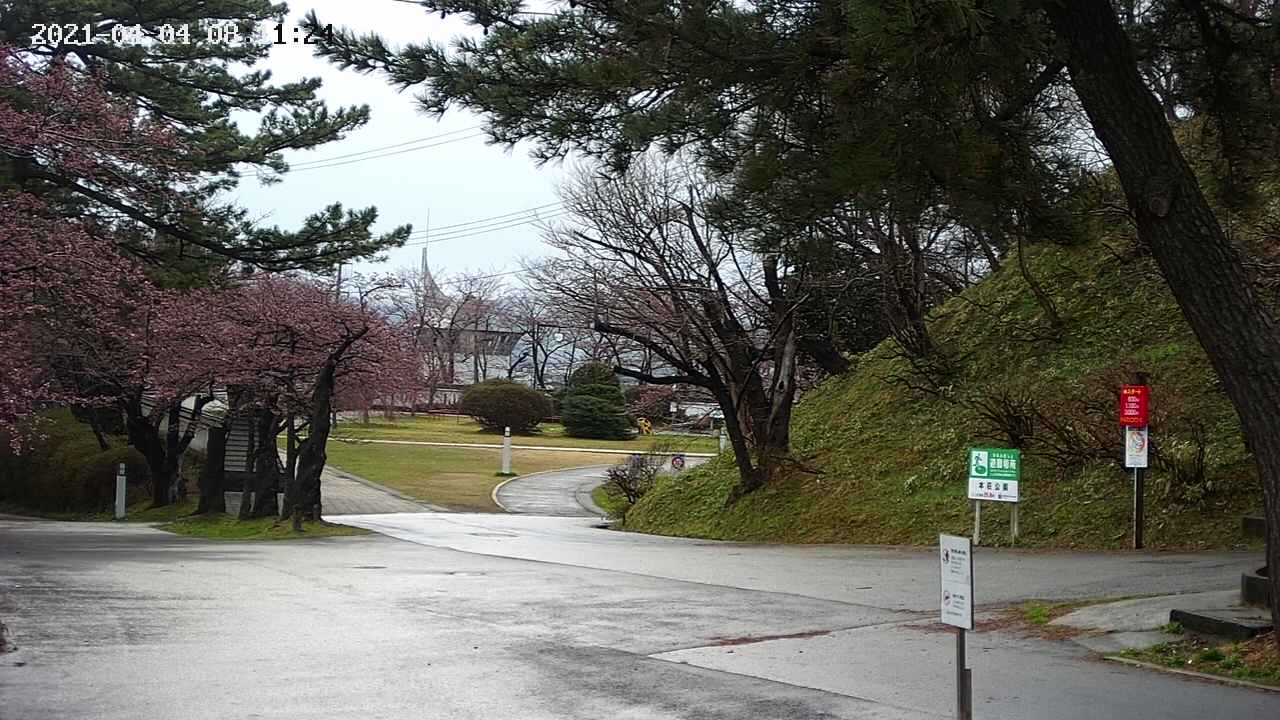 area2-20210404081124.jpg