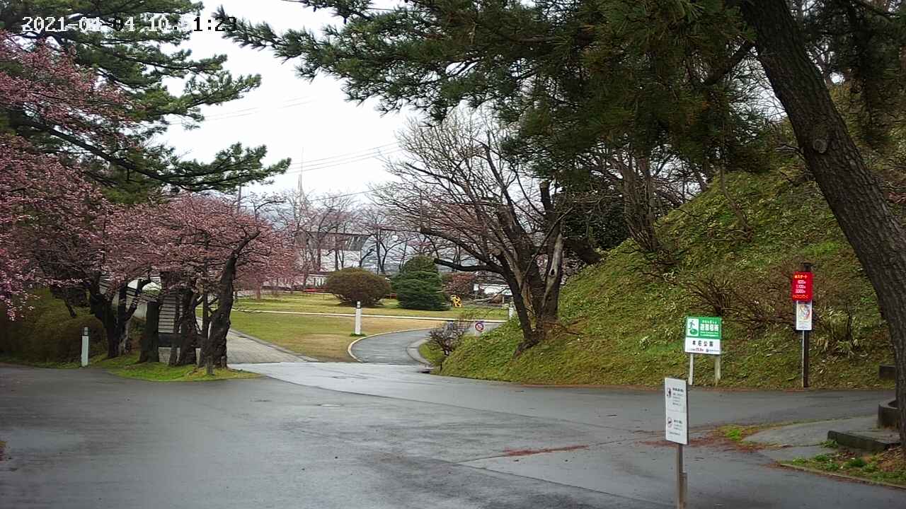 area2-20210404105124.jpg