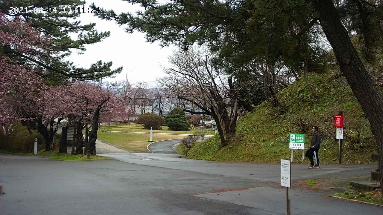 area2-20210404131124.jpg