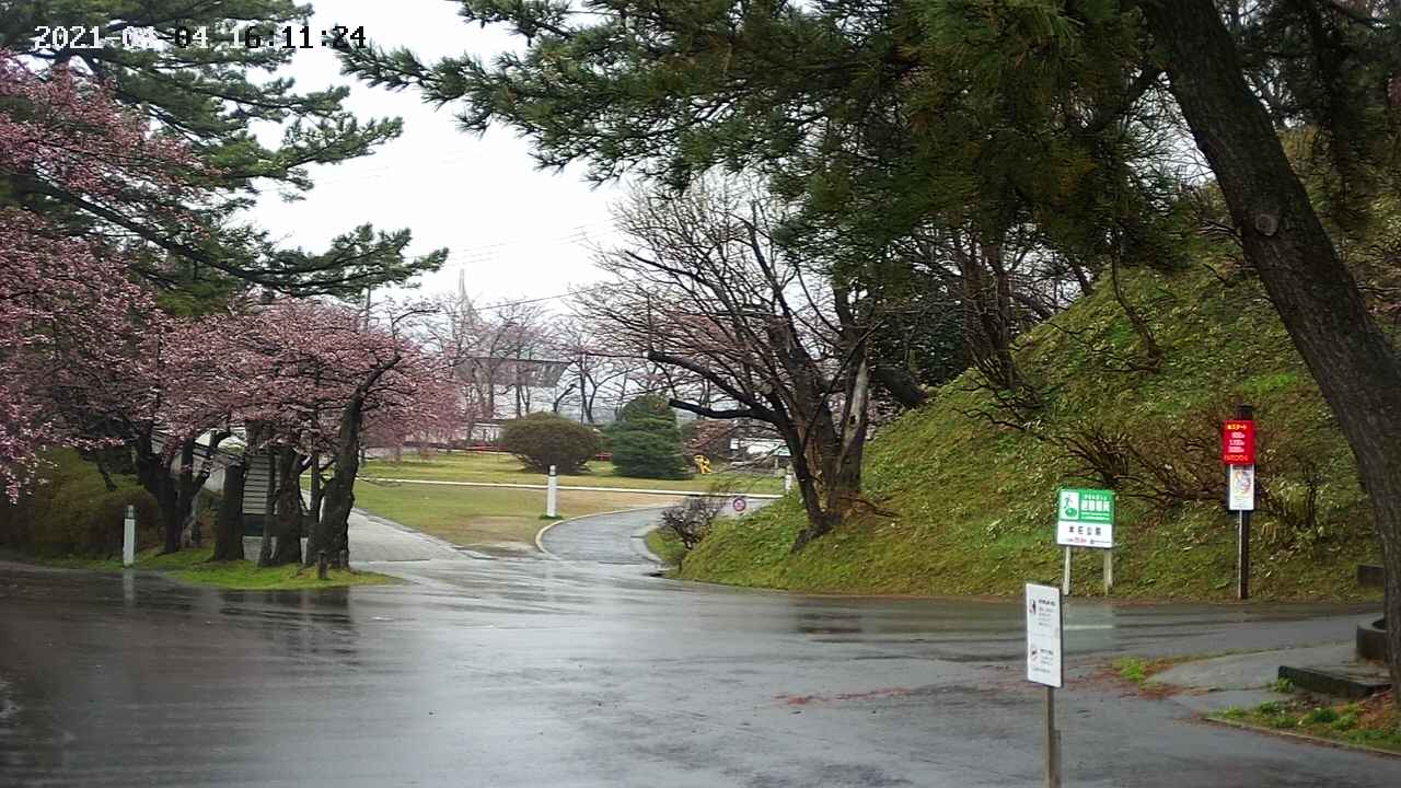 area2-20210404161124.jpg