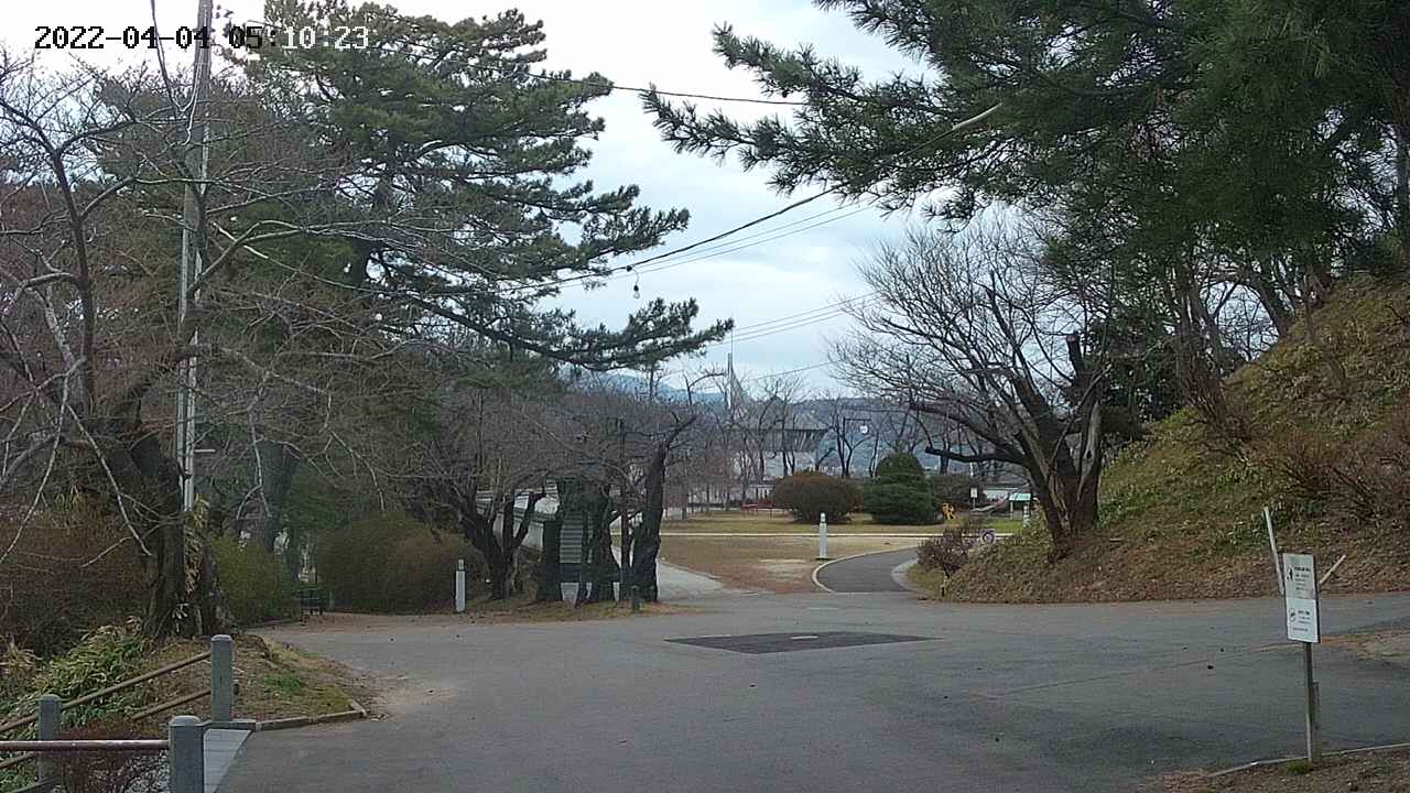 area2-20220404051024.jpg