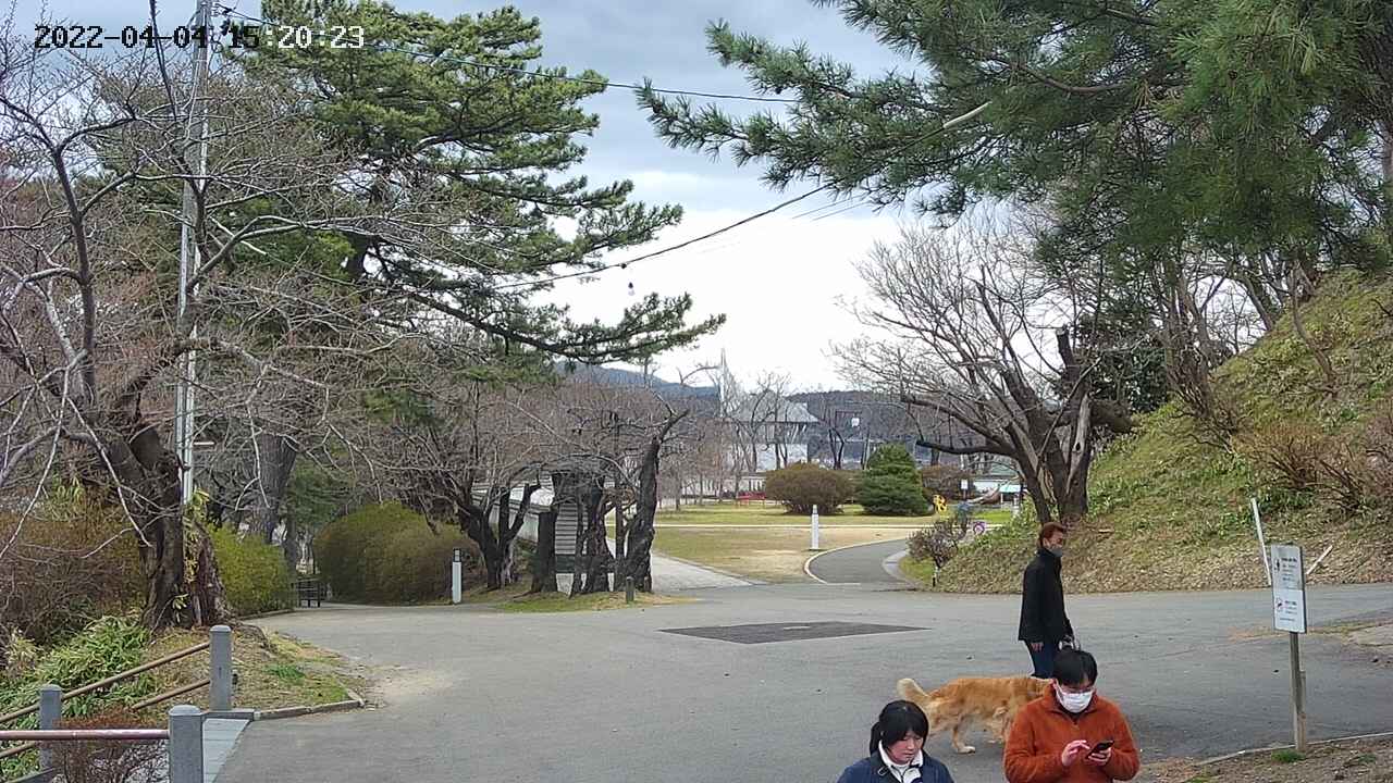 area2-20220404152024.jpg