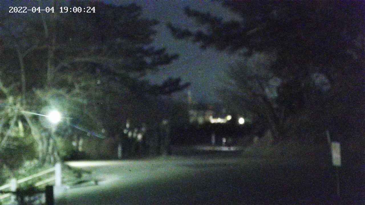 area2-20220404190025.jpg