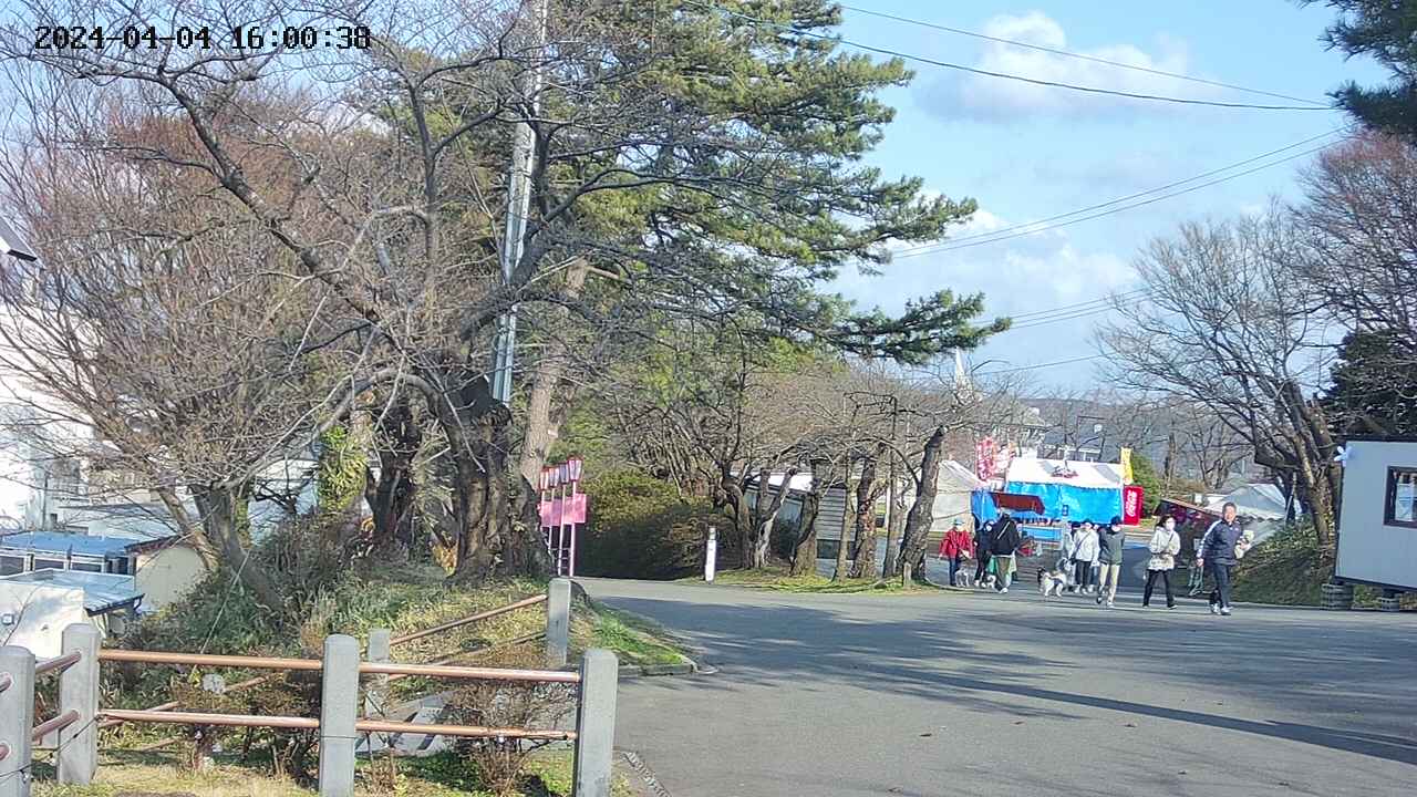 area2-20240404160038.jpg