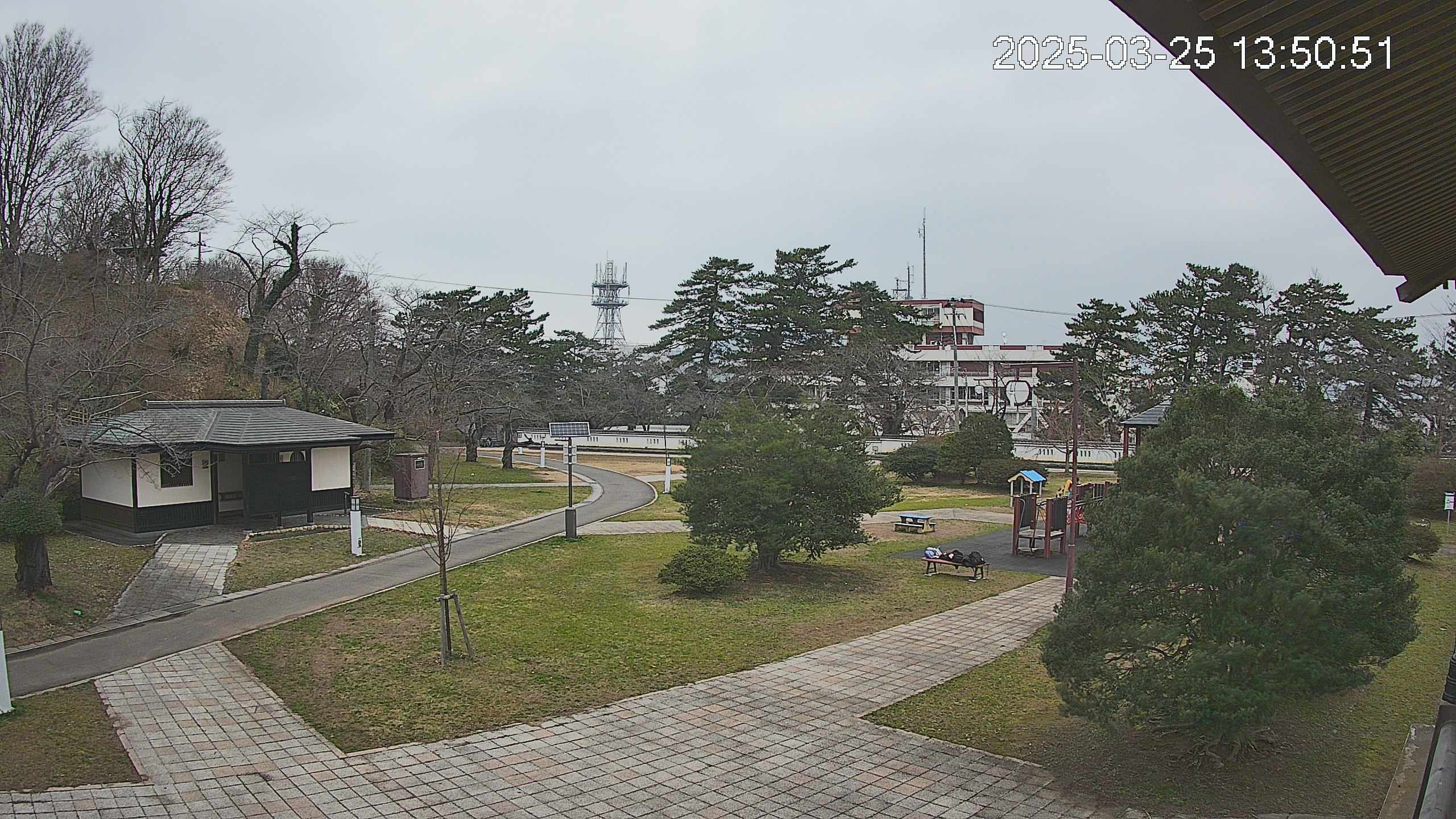 area2-20250325135052.jpg