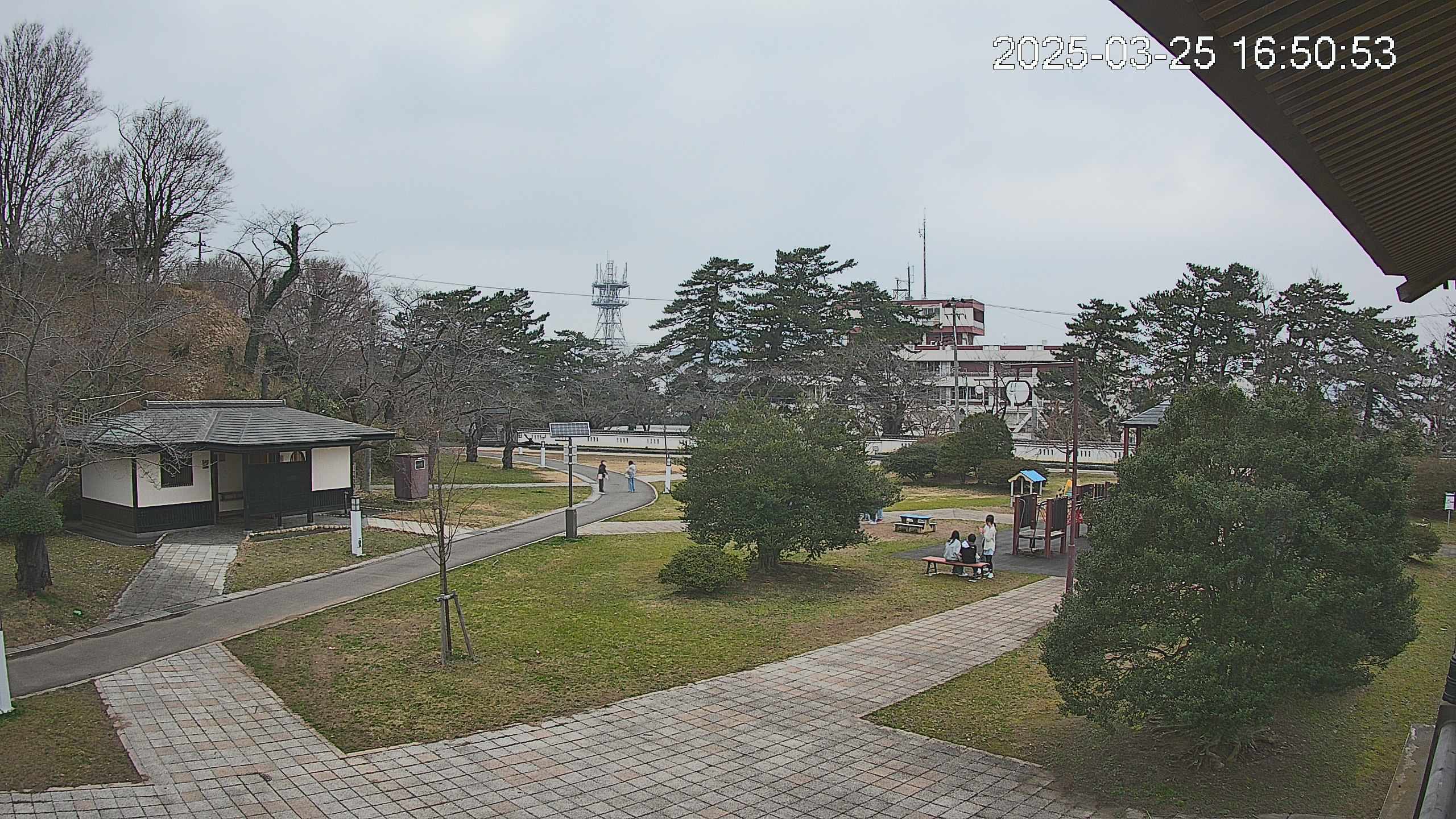 area2-20250325165054.jpg