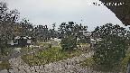 area2-20250326074051.jpg