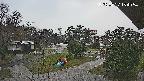 area2-20250327154055.jpg