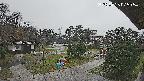 area2-20250328075054.jpg