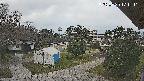 area2-20250330171306.jpg