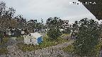 area2-20250402073053.jpg