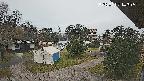area2-20250402143053.jpg