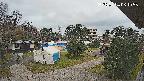area2-20250404061054.jpg