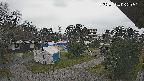 area2-20250404062052.jpg