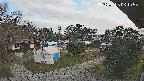 area2-20250405061053.jpg