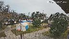 area2-20250406060057.jpg