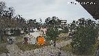 area2-20250406100051.jpg