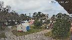 area2-20250407162051.jpg