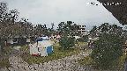 area2-20250408100053.jpg