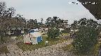 area2-20250408110051.jpg