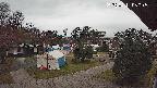 area2-20250411050052.jpg