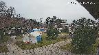 area2-20250412053055.jpg