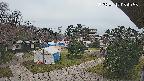 area2-20250412054053.jpg