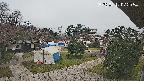 area2-20250412072054.jpg