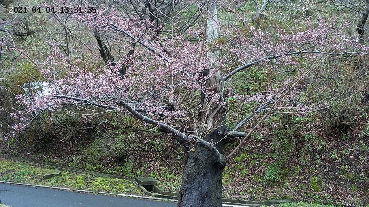 area3-20210404133136.jpg