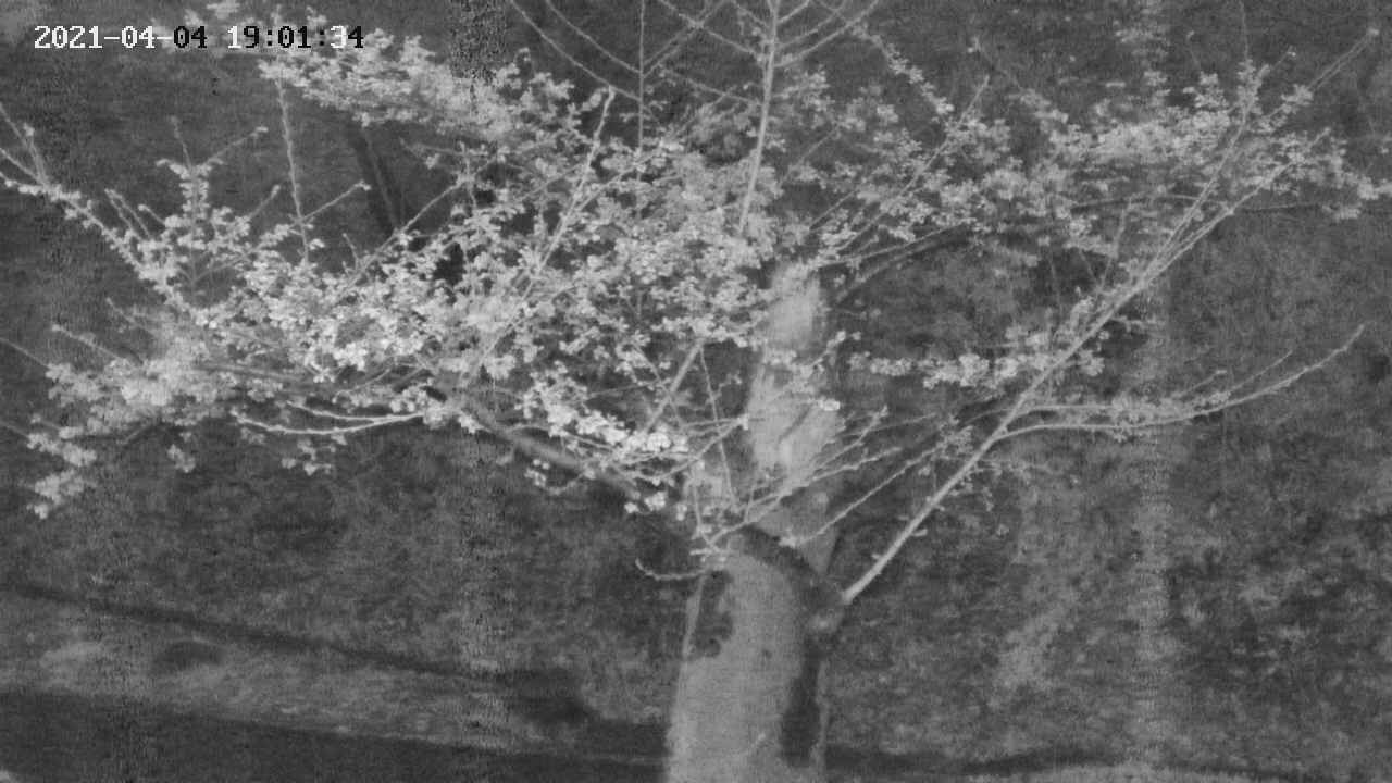 area3-20210404190134.jpg