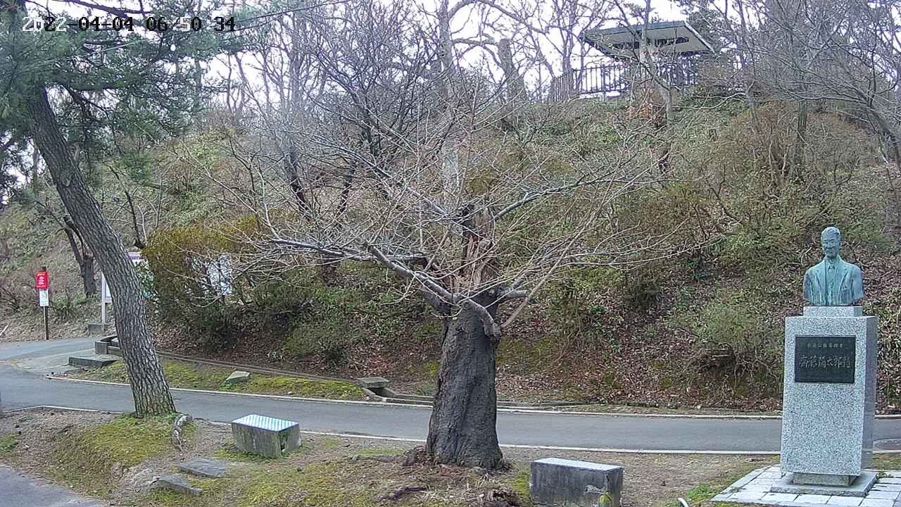 area3-20220404065035.jpg