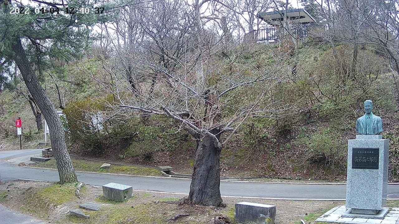 area3-20220404124038.jpg