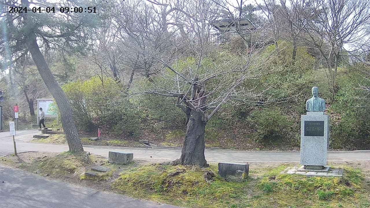 area3-20240404090052.jpg